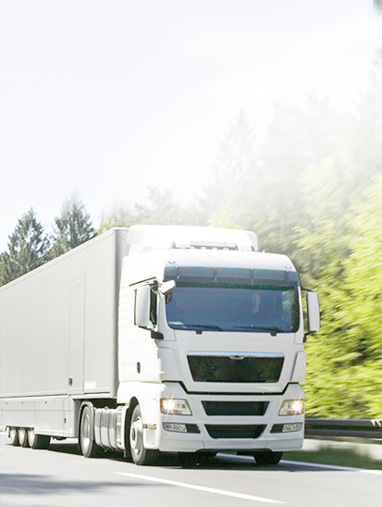 ТЯЖЕЛЫЙ ГРУЗОВИК